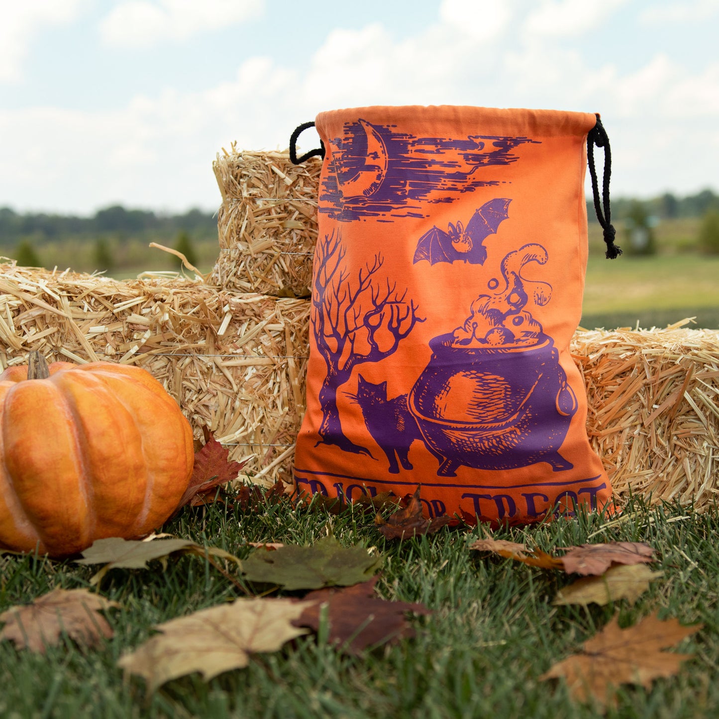 Trick or Treat Canvas Bag - Orange Cauldron